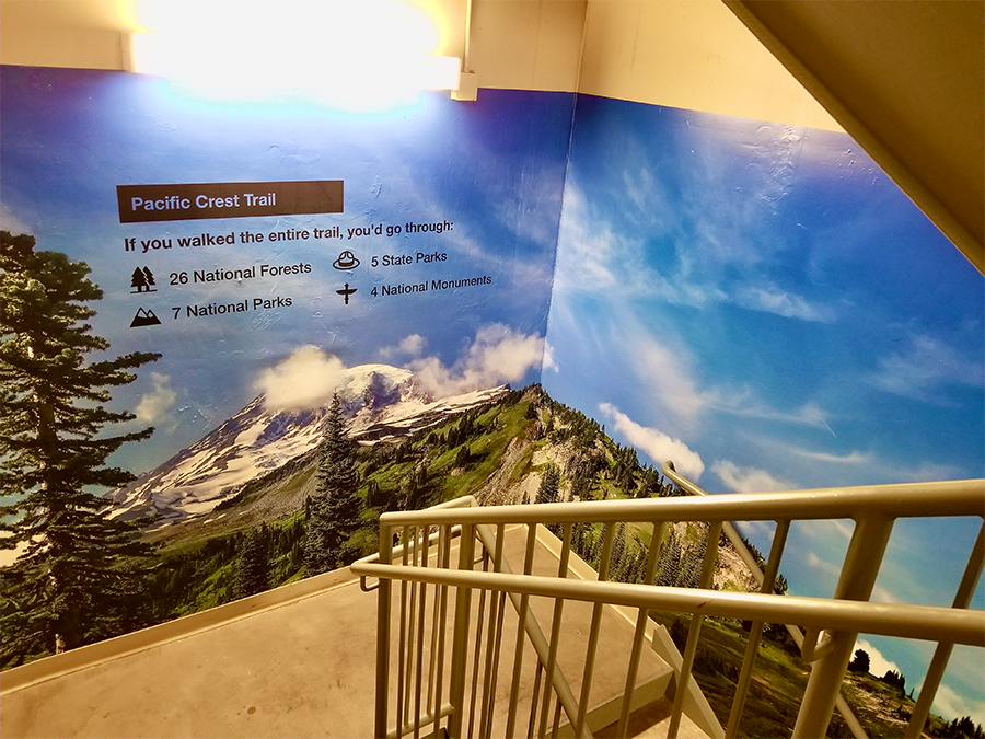 St Joes Hospital Stairs